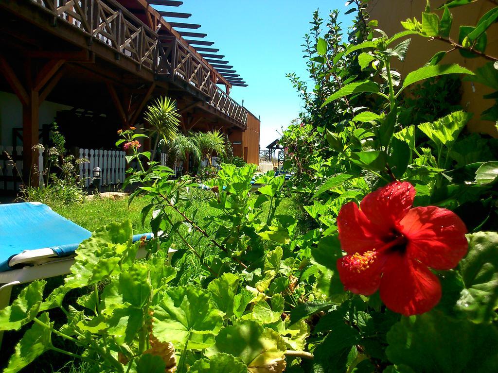 Hostal Playa Mazagón Dış mekan fotoğraf